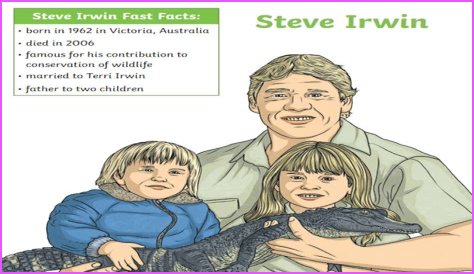 Why Was Steve Irwin Criticized? Unpacking Public Perceptions